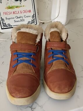 Ugg Sneakers For Women